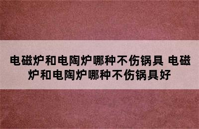 电磁炉和电陶炉哪种不伤锅具 电磁炉和电陶炉哪种不伤锅具好